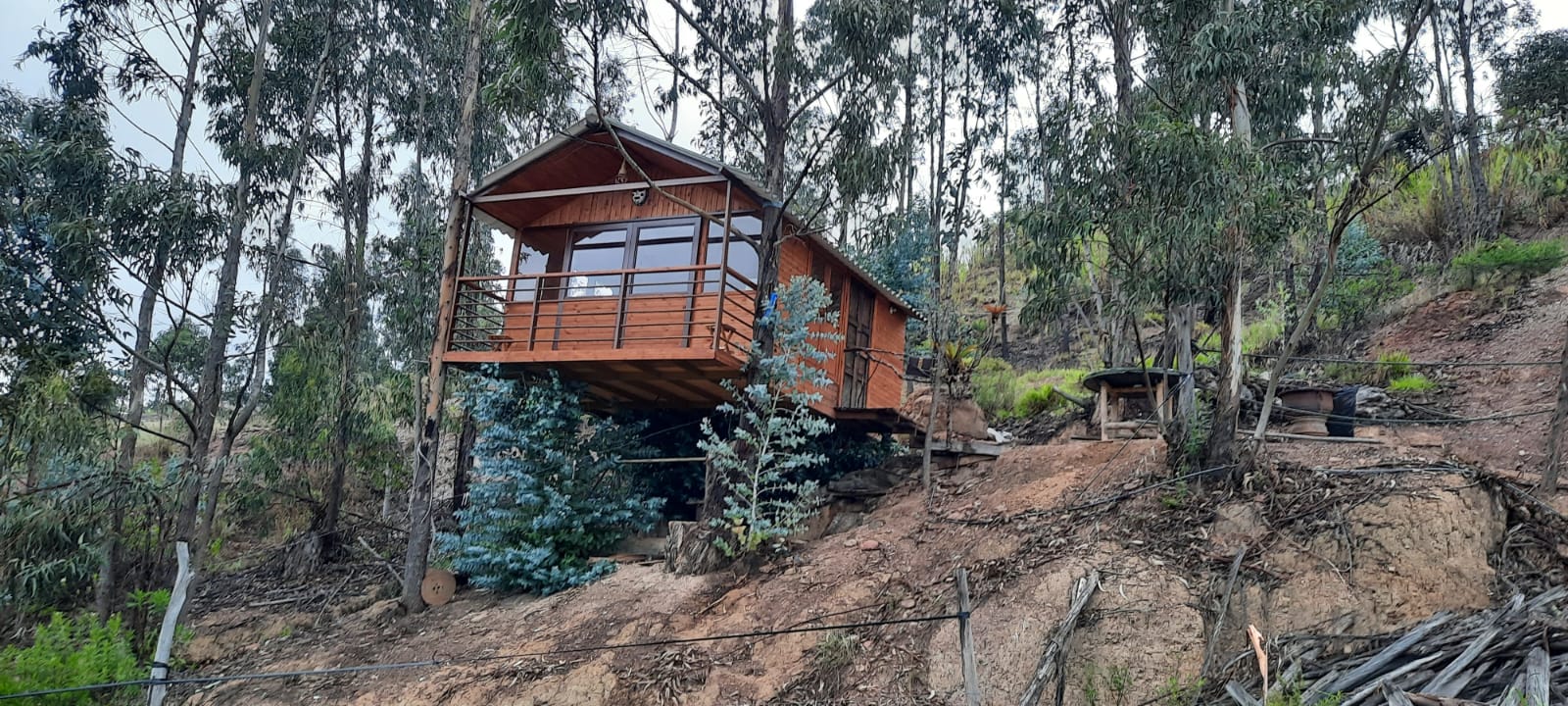 Casa del arbol